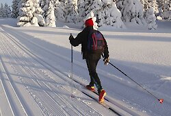 Bildergalerie Ferienchalet Lusen